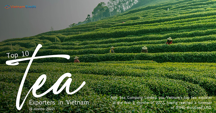 Top 10 tea exporters in Vietnam (9 months 2022)